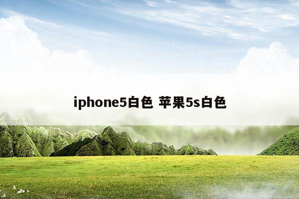 iphone5白色 苹果5s白色